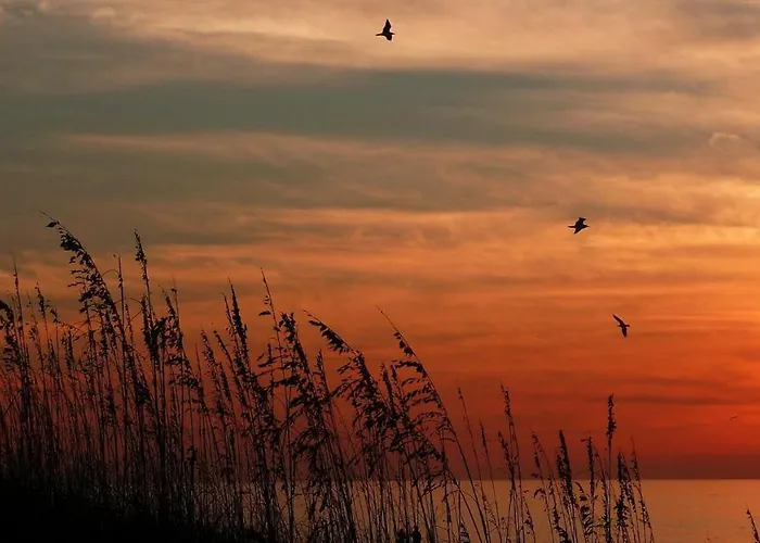 Pelican Pointe 5b * Clearwater Beach