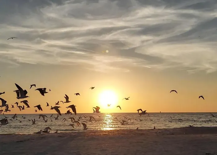 Ferienhaus Pelican Pointe 5b Clearwater Beach